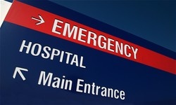 Dallas Veterinary | Dallas Emergency and Specialist Care | NC | Crossroads Animal Hospital |
