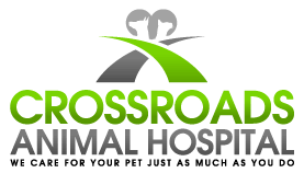 Dallas Veterinary | Dallas Dog Care | Gastonia Dog Care | Charlotte Cat Care