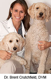 Dallas Veterinary | Dallas Ultrasound | NC | Crossroads Animal Hospital |